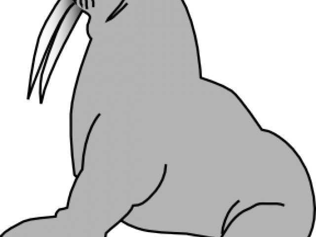 Leopard Seal Clipart Ocean Animal - Grey Walrus Twin Duvet (640x480)