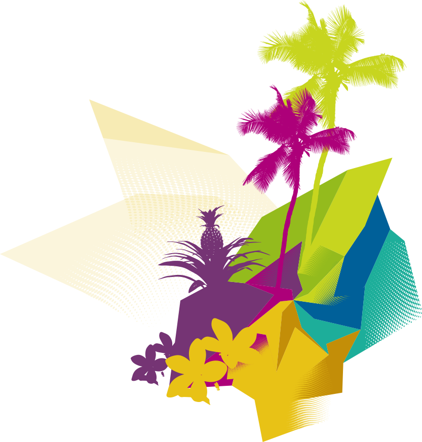 Big Hawaii Image Transparent Background (833x873)