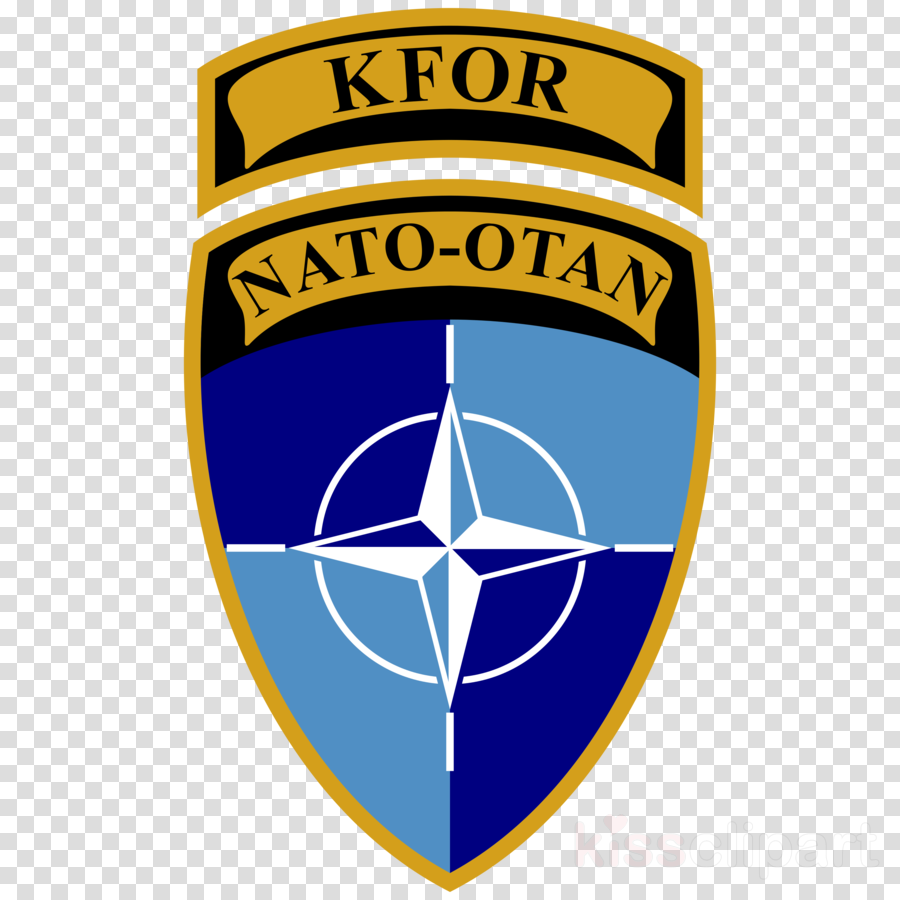 North Atlantic Treaty Organization Clipart Resolute - Enhanced Forward Presence Logo (900x900)