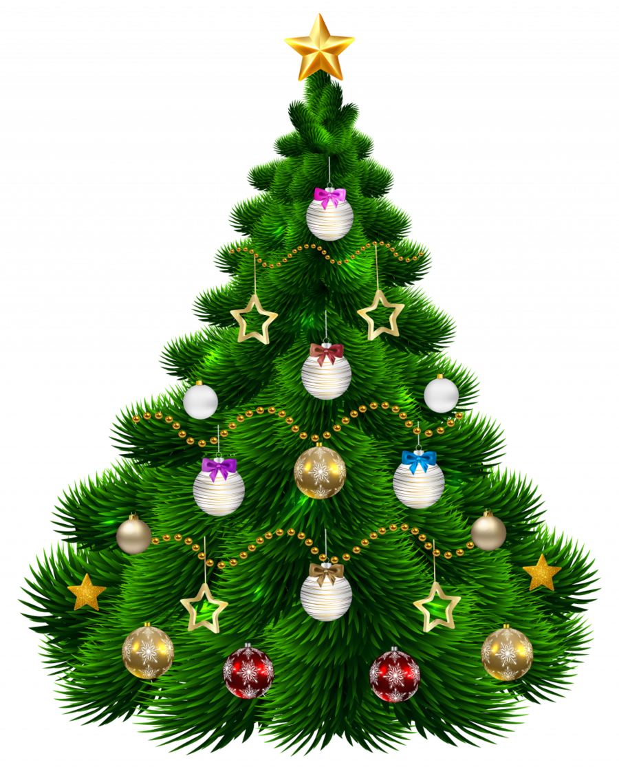 Christmas Tree Clip Art Png Clipart Christmas Tree - Png Images Of Christmas Tree (900x1118)