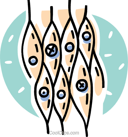 Microorganisms Royalty Free Vector Clip Art Illustration - Microorganisms Royalty Free Vector Clip Art Illustration (447x480)