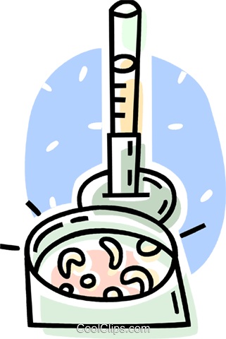 Microorganisms In A Petri Dish Royalty Free Vector - Microorganisms In A Petri Dish Royalty Free Vector (321x480)