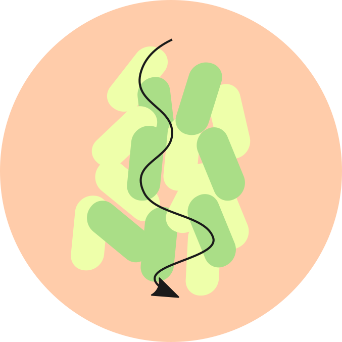 Applications Of Co-cultures - Illustration (677x677)