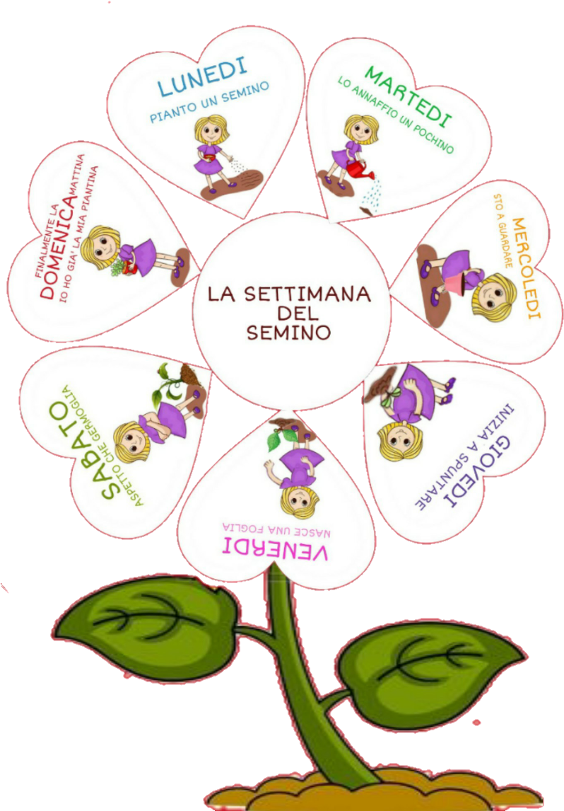 Cartellone I Giorni Della Settimana I Cartelloni - Giorni Della Settimana Scuola Infanzia (897x1197)