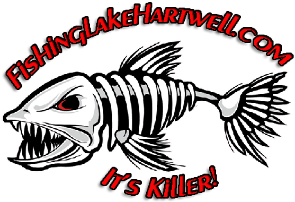 Joe Dino - Sticker Fish Skeleton Bones Car Window Truck Notebook (450x450)