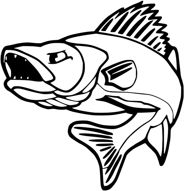 Drawing At Getdrawings Com Clip Art Freeuse Stock - Walleye Fishing (960x805)