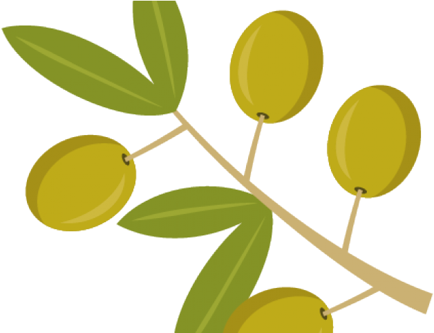 Olive Branch Clipart - Clip Art (640x480)