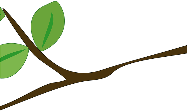 Branch Clipart Ramas - Clip Art (640x480)