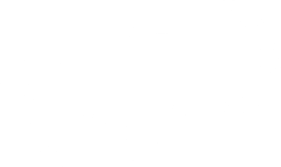 Adipose Tissue (1109x661)