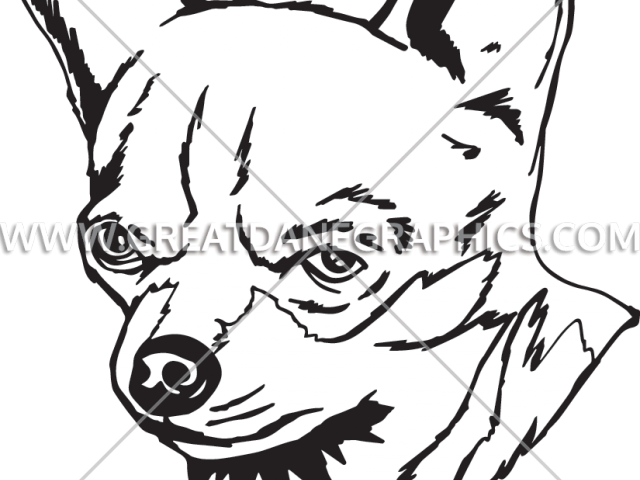 Drawn Chihuahua Clipart - Drawing (640x480)