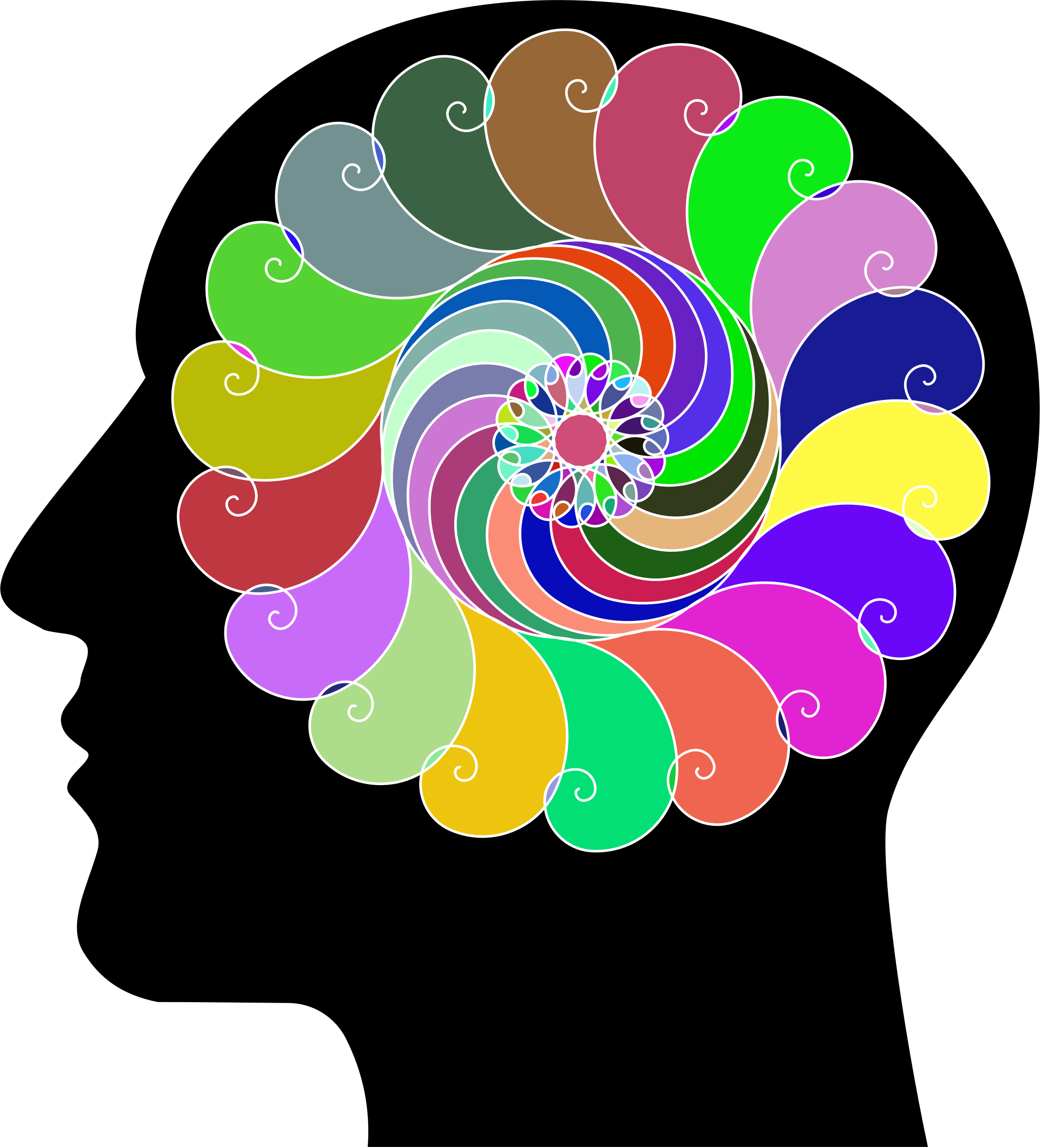 Spiral Line Art Golden Ratio Circle Silhouette - Clip Art (2104x2320)