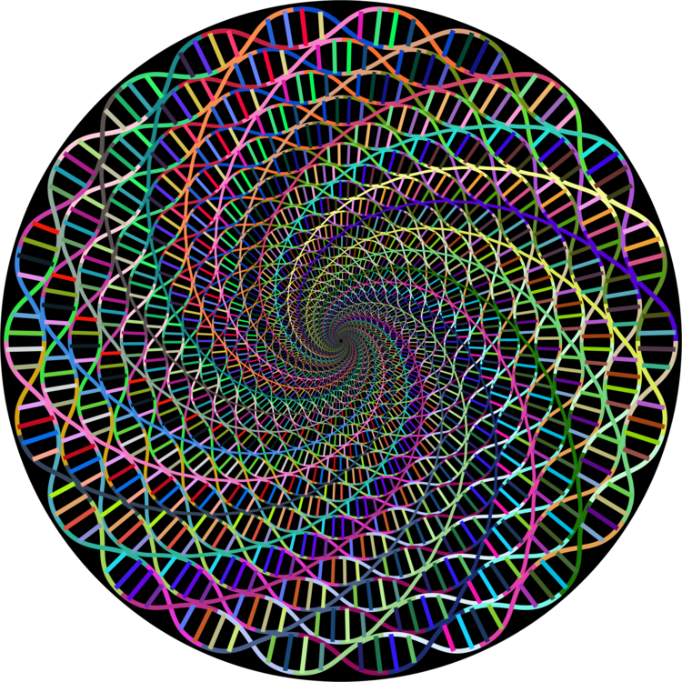 Spiral Computer Icons Line Art Pixel Art - Circular Stained Glass Window (750x750)