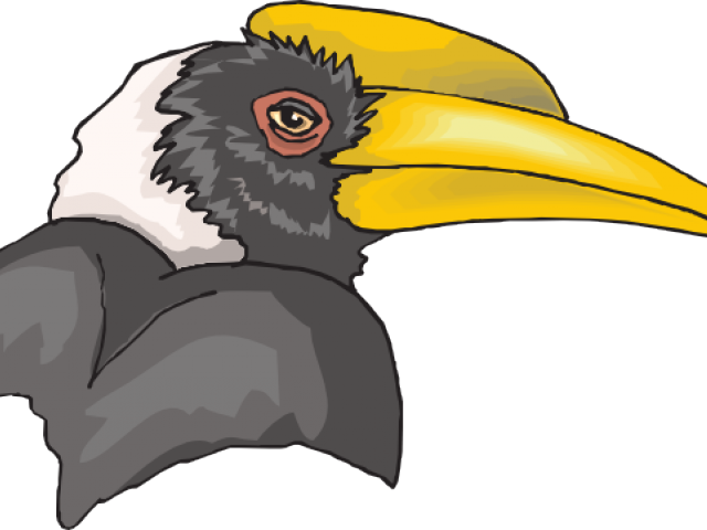 Hornbill Clipart Rhinoceros Hornbill - Hornbill Bird Hornbill Clip Art (640x480)