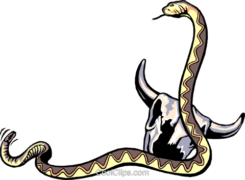 Rattle Snake Royalty Free Vector Clip Art Illustration - Cattle (480x353)