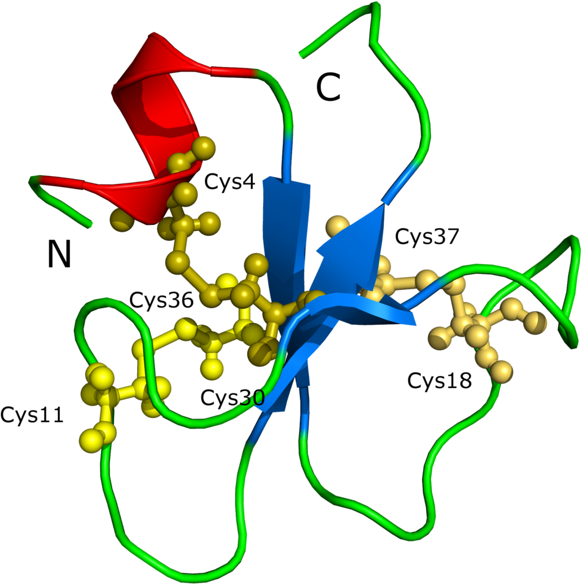Slow Loris Venom Molecule (1200x1199)