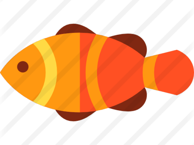 Clownfish Clipart Transparent - Clownfish (640x480)
