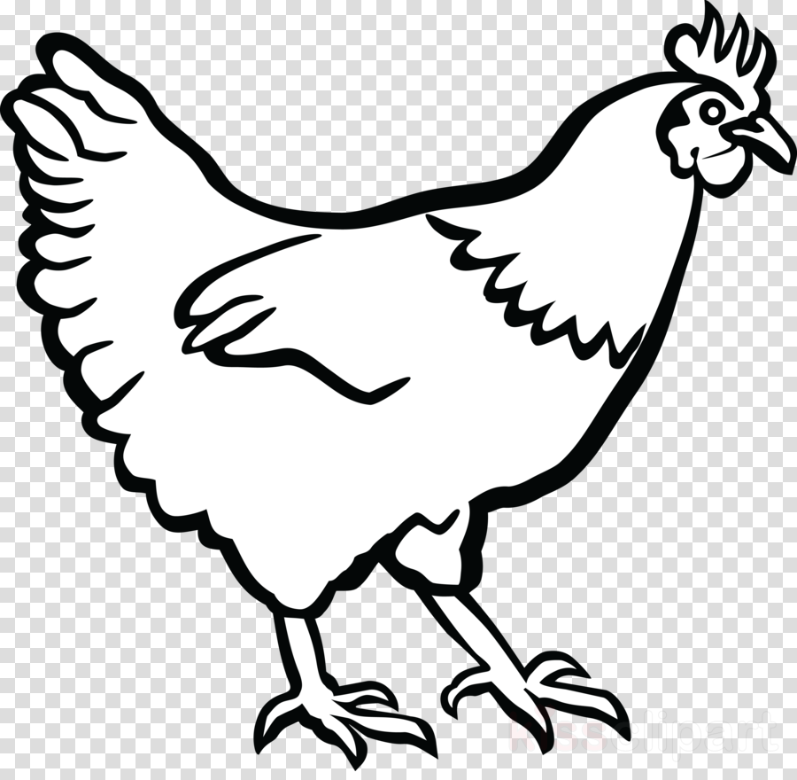 Download Hen Clip Art Clipart Cochin Chicken Leghorn - Hen Clipart Black And White (900x880)