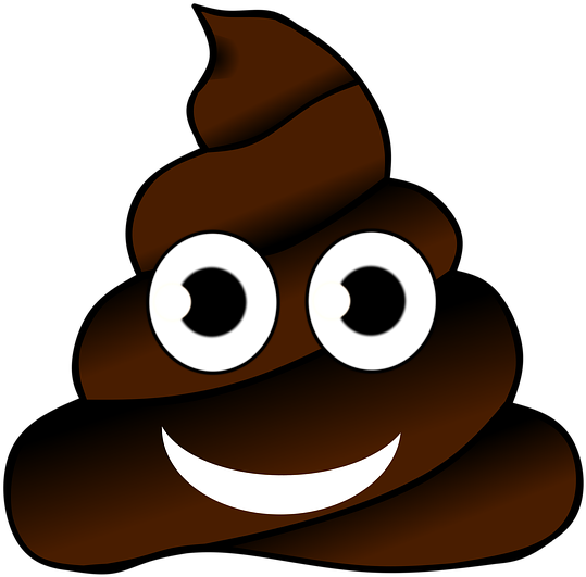 Poop Clipart Bowel Movement Clip Free Stock - Happy Birthday Poop Emoji (549x640)