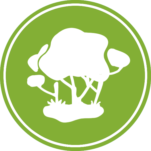 The Region - Duke Of Edinburgh Award Adventurous Journey (525x525)