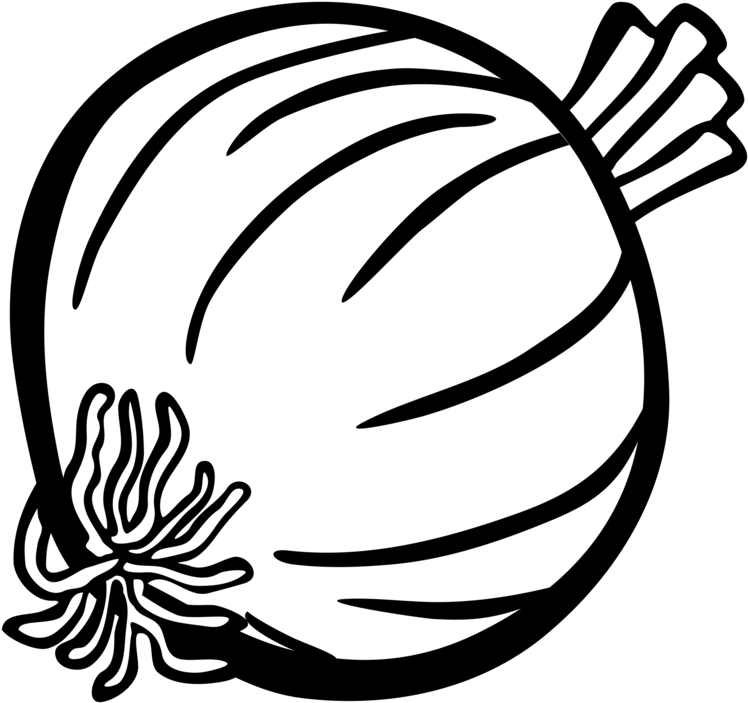 All Photo Png Clipart - Onion Black And White (795x750)