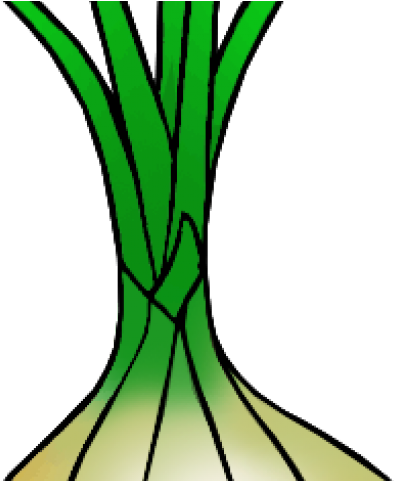 Onion Clipart Half Onion - Onion Clipart Half Onion (640x480)