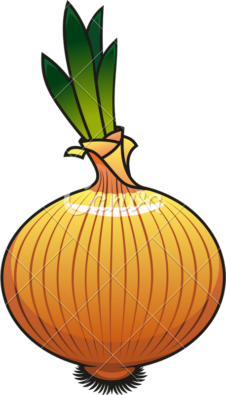 Onion Icon Design - Vegetable (458x800)