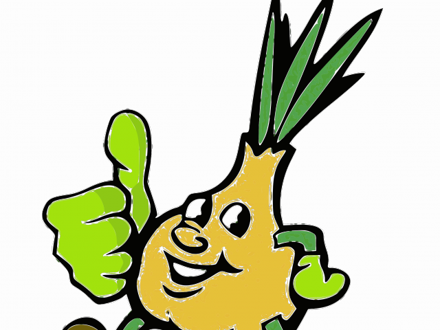 Onion Clipart Big - Zwiebel Mit Den Daumen Oben Kissen (640x480)