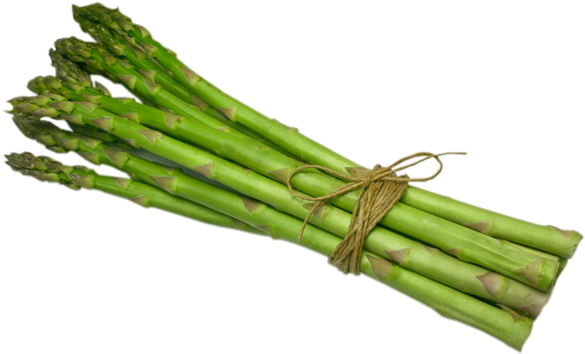 Single Clipart Asparagus - Single Asparagus Png (600x600)