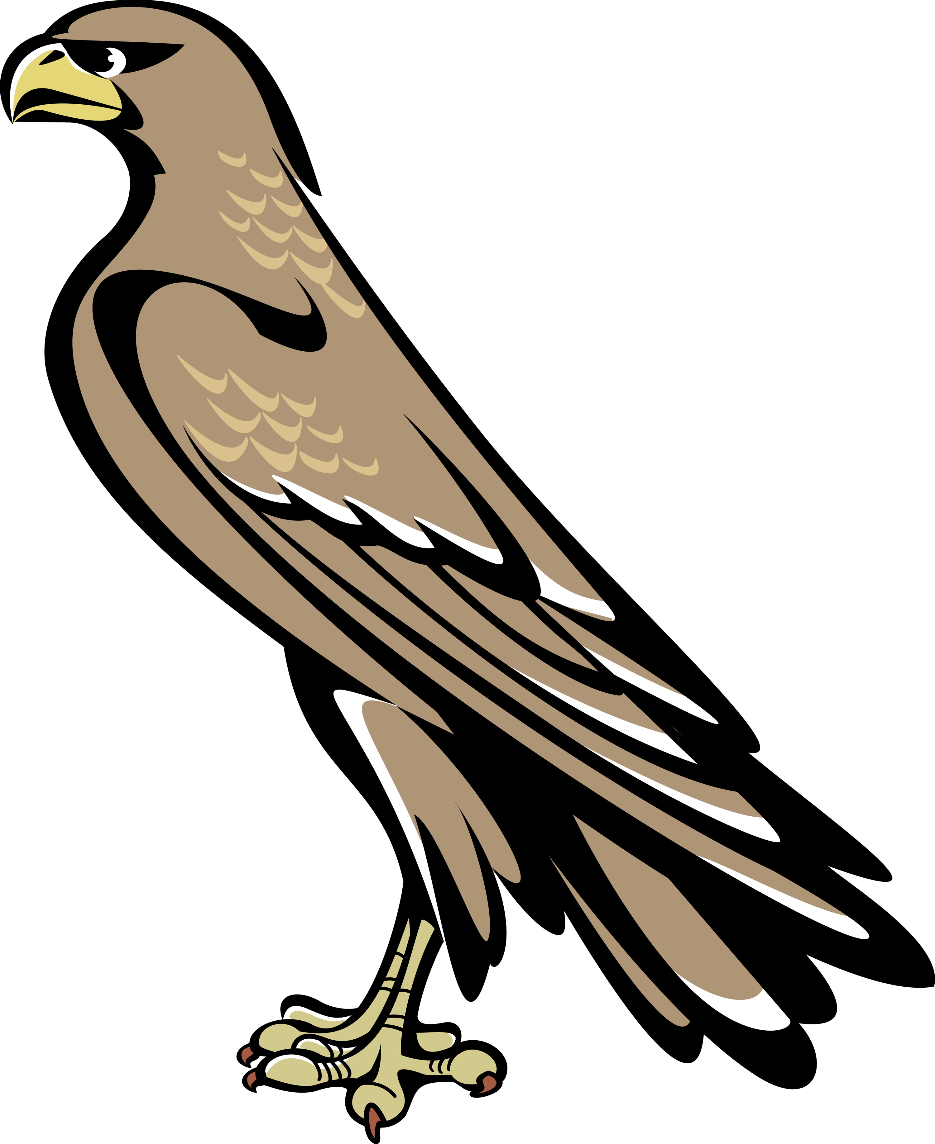 Falcon Clipart Coat Arm - Falcon Symbol Coat Of Arms (3000x3673)