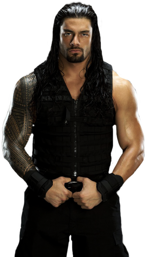 Png Image Information - Wwe Shield Roman Reigns (600x1044)