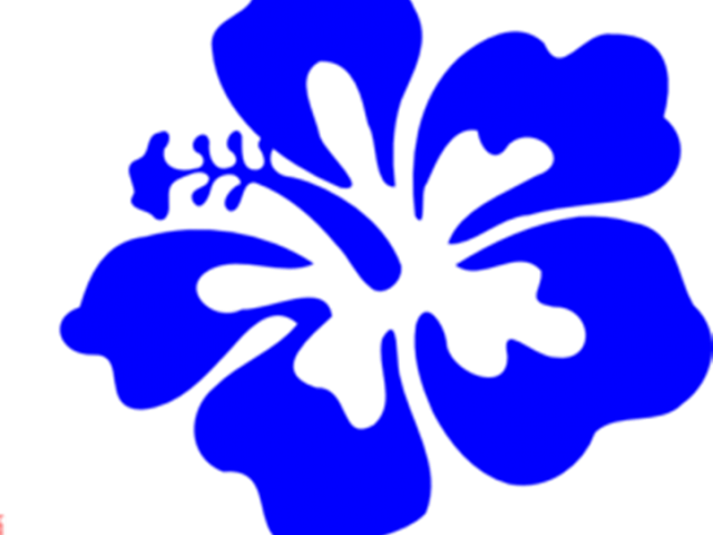 Drinks Clipart Luau - Hawaiian Flowers Cartoon Transparent (640x480)