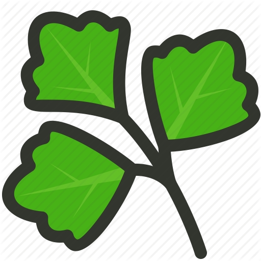 Cilantro Clip Art (512x512)