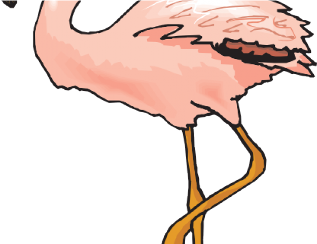 Flamingo Clipart Clip Art - Flamingo Clipart (640x480)
