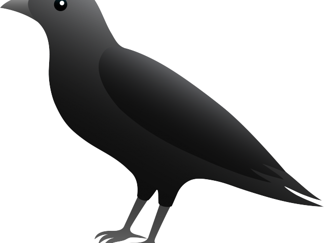 Blackbird Clipart Clip Art - Crow Clipart Png Transparent (640x480)