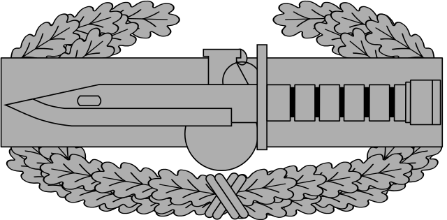 320 × 158 Pixels - Combat Action Badge Png (640x315)