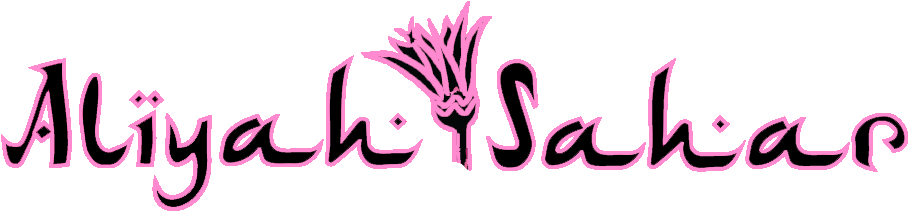 Aliyah Sahar Mn Belly Dancer - Fashion Designer (1042x238)