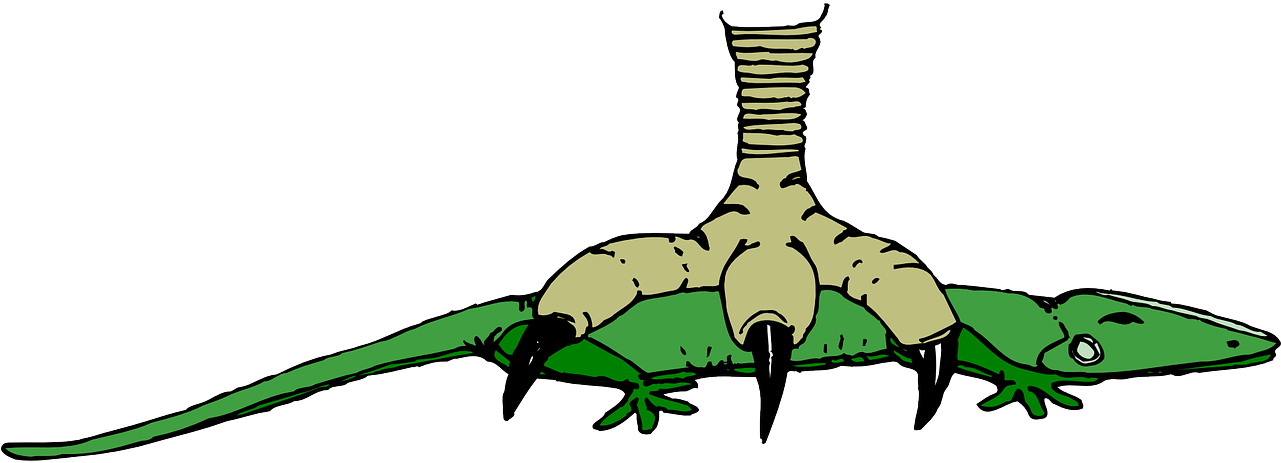 Clip Art Free Library Krokodil Shop Of Library Buy - Portable Network Graphics (1280x640)