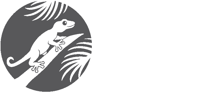 Gecko Garden Preschool - School Co., Ltd. (709x313)
