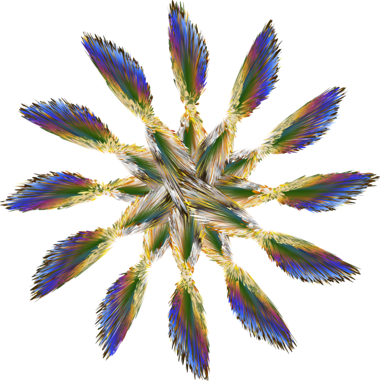 All Photo Png Clipart - Art (748x750)