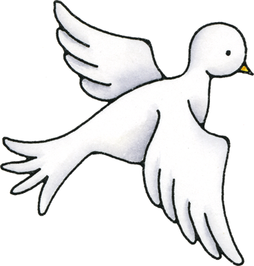 Picasa Web Albums - Christmas Day (369x386)