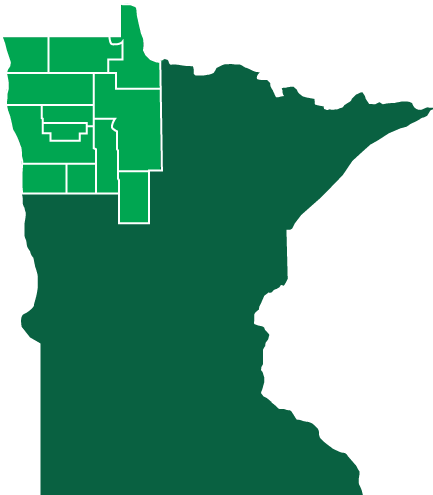 Accomplishments - Minnesota Silhouette (432x512)