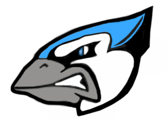 Minnesota Timberwolves Clipart Coffee - Minnesota (640x480)