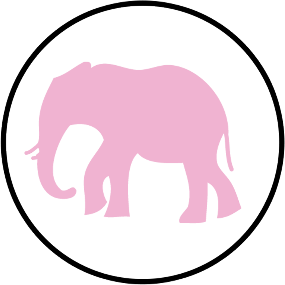 Experience Goat Yoga - Indian Elephant (1000x999)