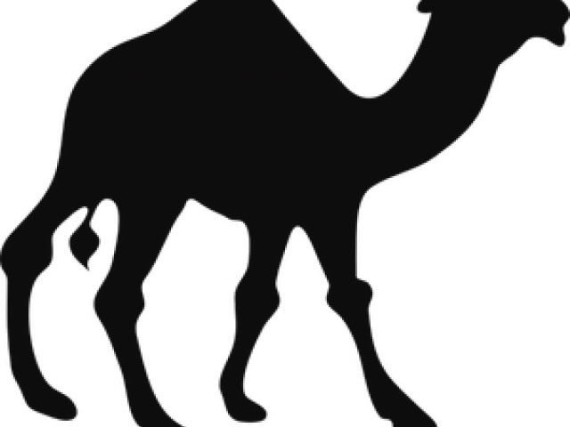 Llama Clipart Footprint - Camel Black And White (640x480)