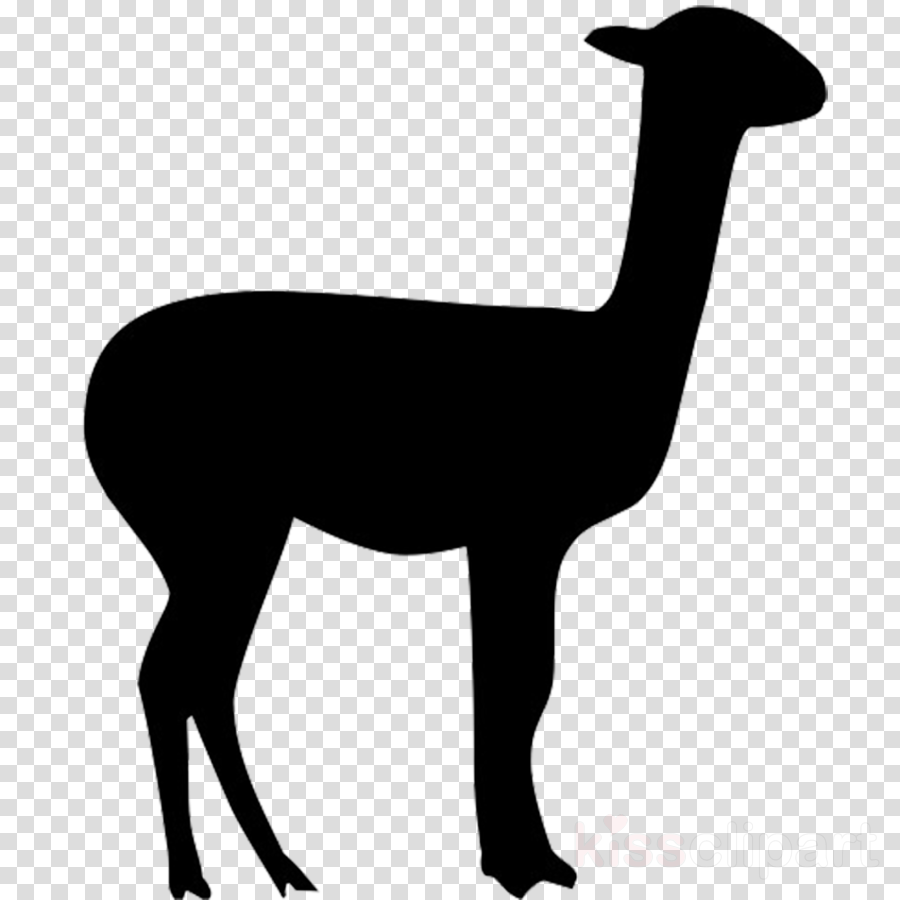 Download Llama Silhouette Transparent Clipart Llama - Black Snooker Ball (900x900)