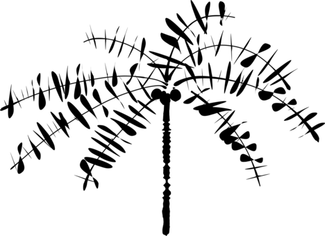 Palm Trees Coconut Computer Icons Drawing - Coconut Tree Clip Art (468x340)