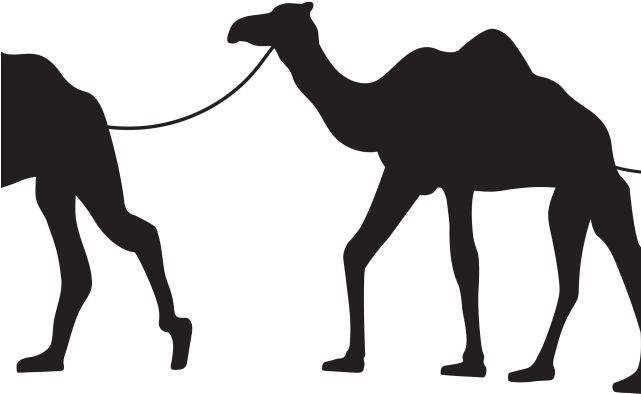 Llama Clipart Shadow - Camel Black And White (640x480)