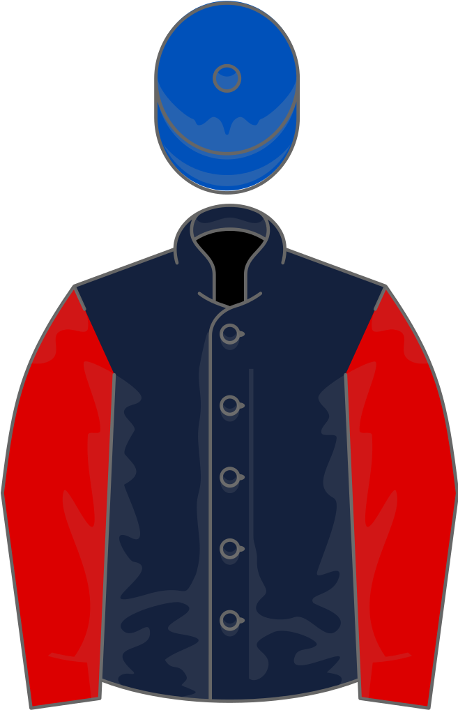 Owner Dick And Caroline Fowlston - Queens Racing Silks (656x1024)