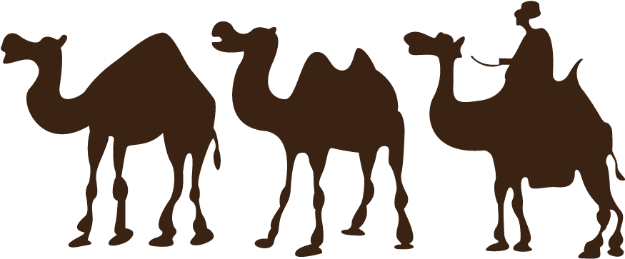Graphic Royalty Free Stock Oasis Drawing Desert Arabian - Desert Camel Silhouette (1000x800)