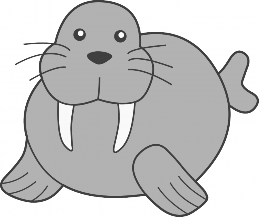 Cartoon Walrus Png Clipart Walrus Puppy Clip Art - Cute Walrus Clipart (900x753)